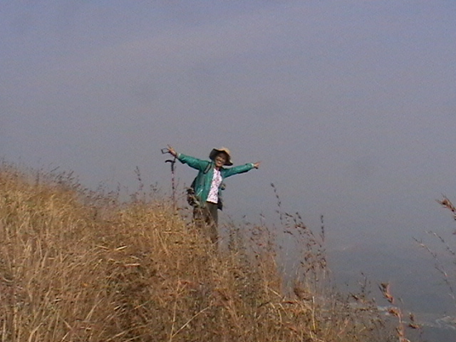 w17.jpg