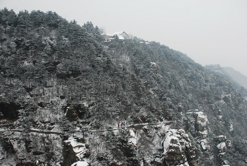 dsc_0383.jpg
