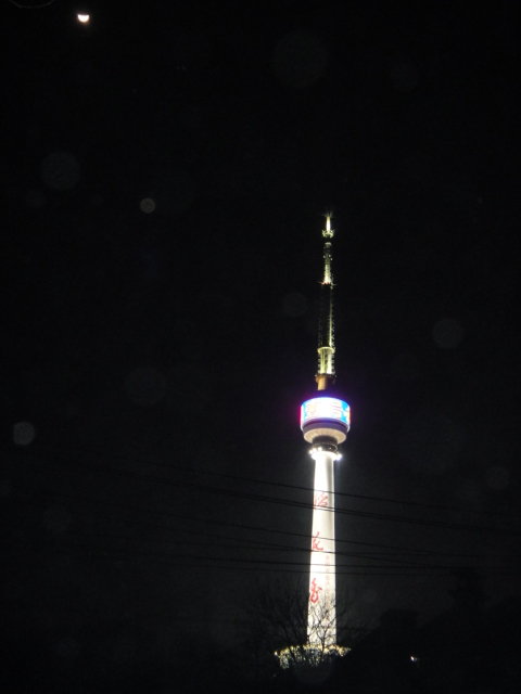 dsc00550.jpg