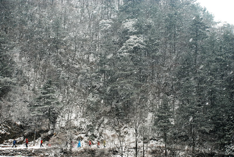 dsc_0278.jpg