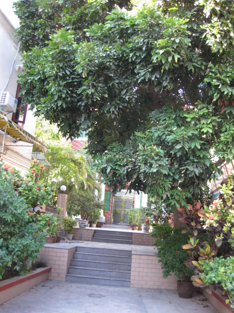 img_6367.jpg