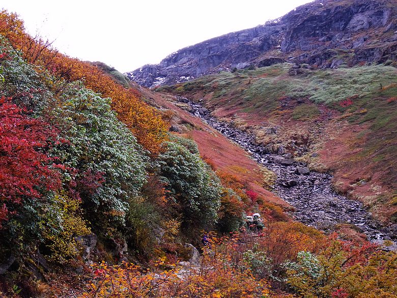 dscf8984.jpg