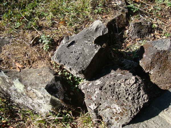 dsc07593_СС.jpg