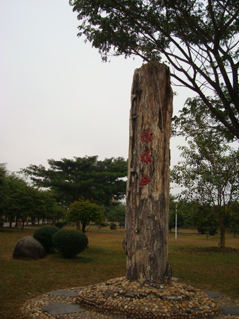 dsc07745_СС.jpg