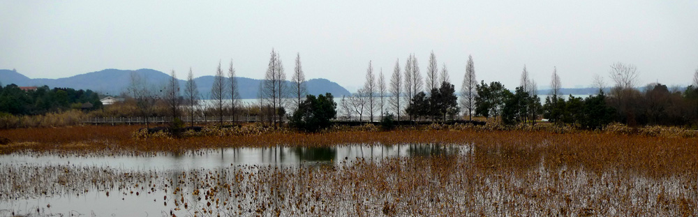 p1130773.jpg