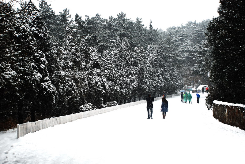 dsc_0508.jpg