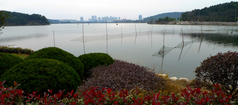p1130839.jpg