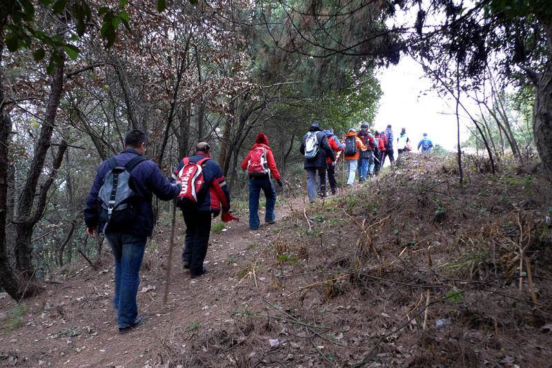 p1130680.jpg