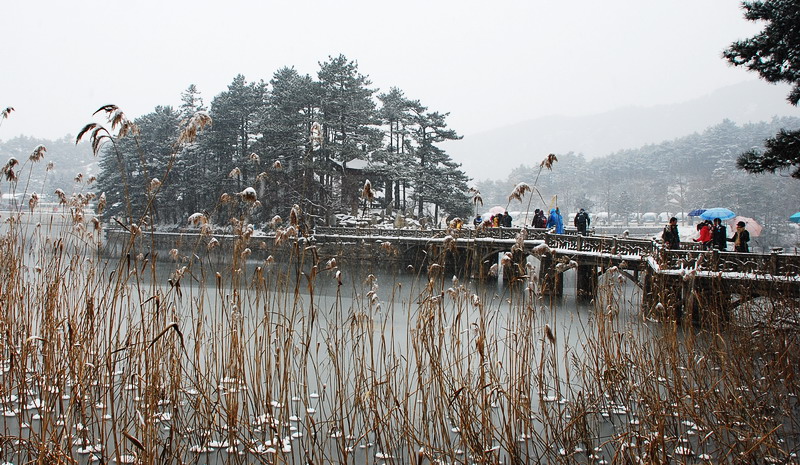 dsc_0545.jpg