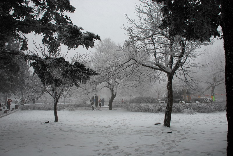 dsc_0568.jpg