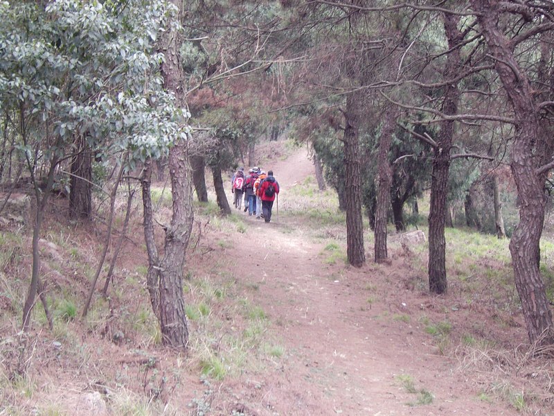 dsc09062_Ӱ_1.jpg