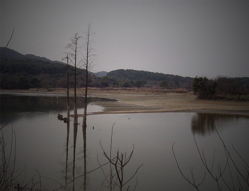 dsc09081_Ӱ_1_.jpg