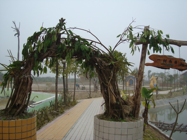 dsc07713_СС.jpg
