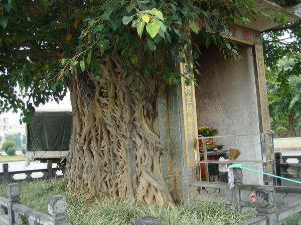 dsc07740_СС.jpg