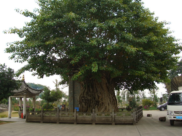 dsc07747_СС.jpg