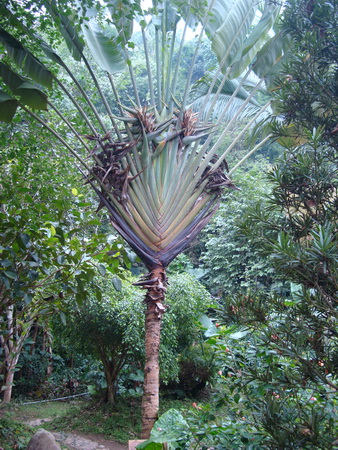 dsc07763_СС.jpg