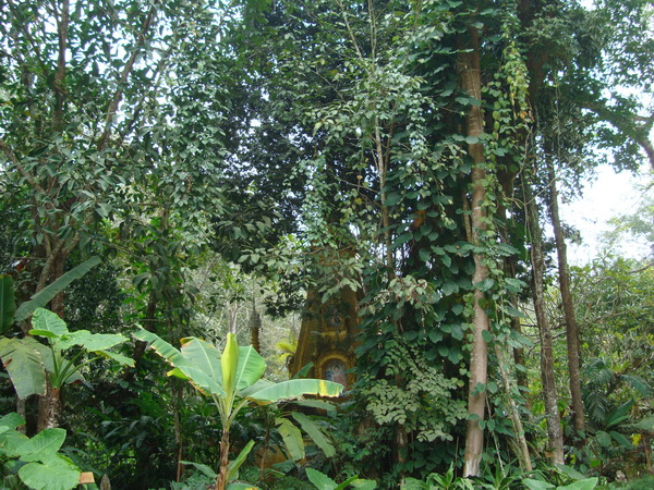 dsc07764_СС.jpg