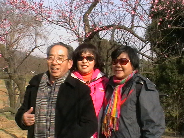 imga0139.jpg