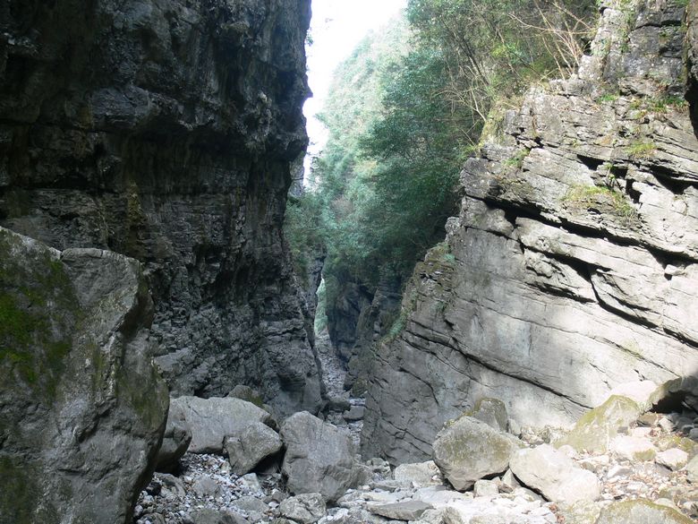 p1130264.jpg