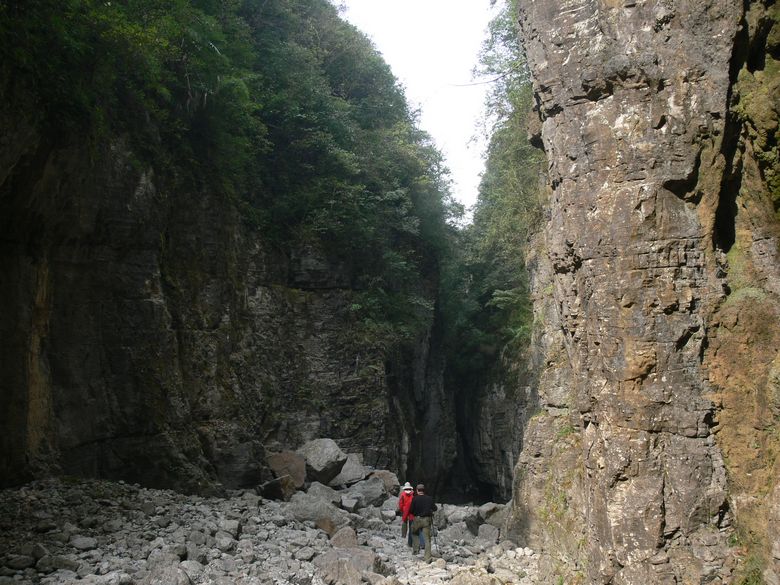 p1130237.jpg