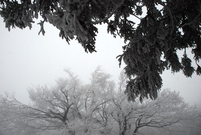 dsc_0580.jpg