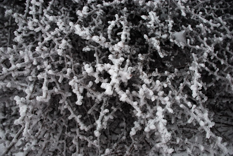 dsc_0582.jpg