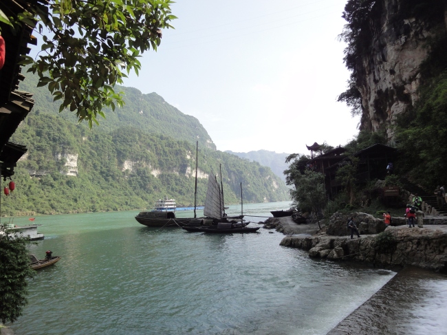 dsc00782.jpg