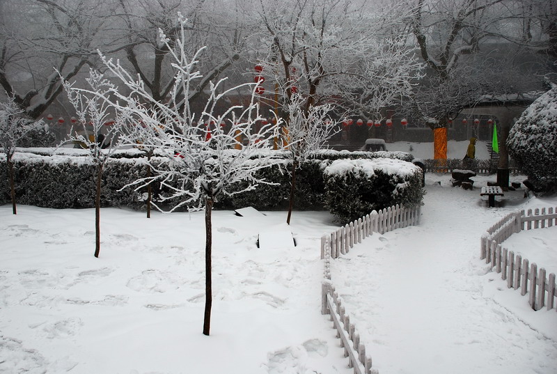 dsc_0616.jpg