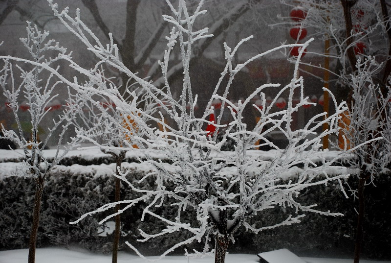dsc_0617.jpg