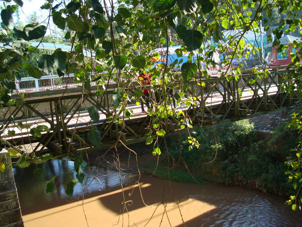 dsc07786_СС.jpg