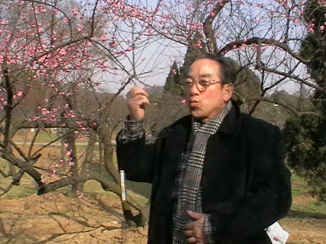 imga0137.jpg