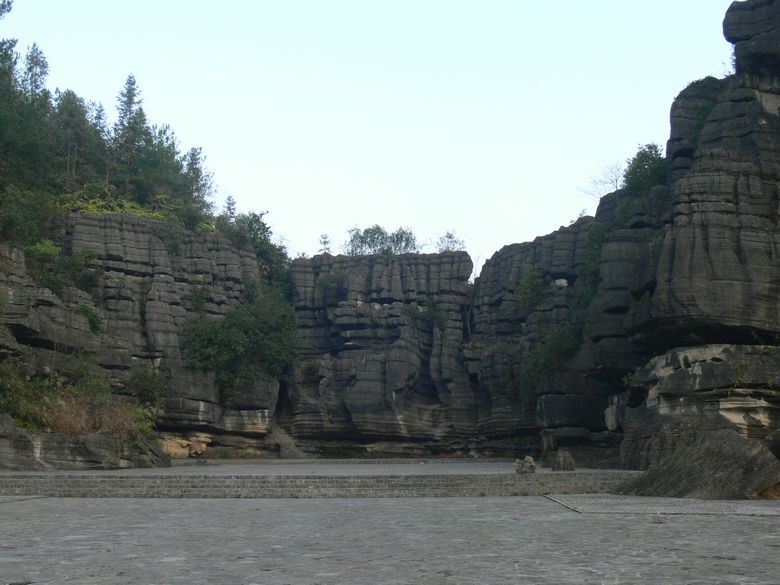 p1130289.jpg
