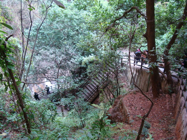 dsc07826_СС.jpg