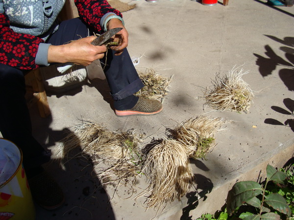 dsc07543_СС.jpg