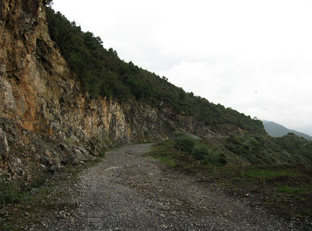20081006_f7ed68f06cb3bf7d291bxsfuliwcvnpn.jpg