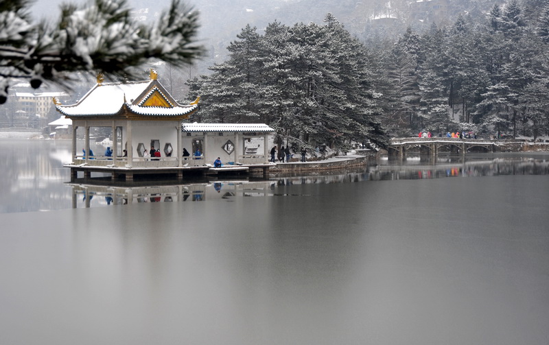 dsc_2931-1_С.jpg