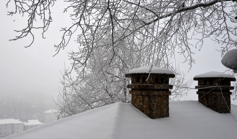 dsc_3085_С.jpg