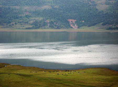 20081006_a0025a5ac0093c91d057dl7ysnilfltf.jpg
