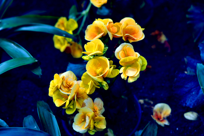 _dsc4568a.jpg