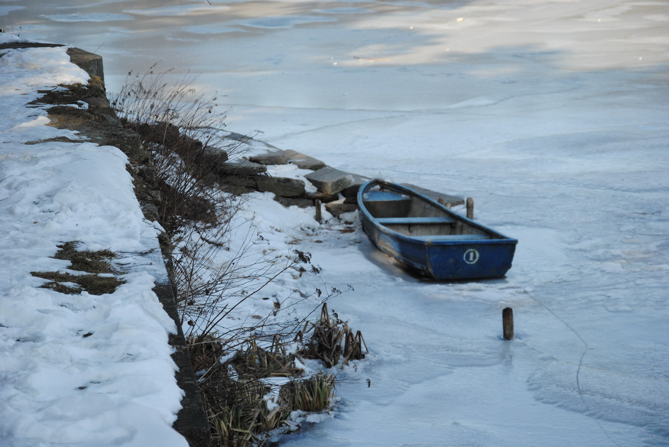 dsc_0262.jpg