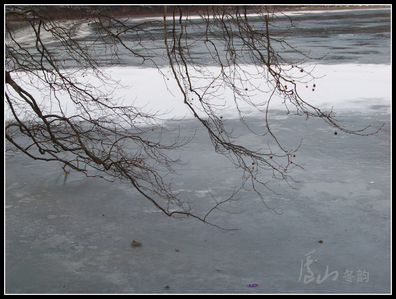 20110108ѩ®ɽgٺ (47).jpg