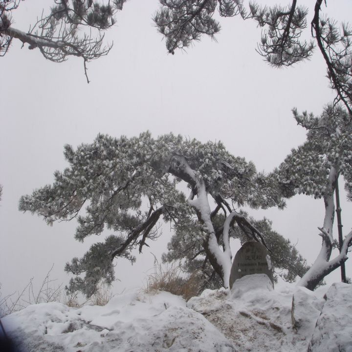 dsc03484.jpg