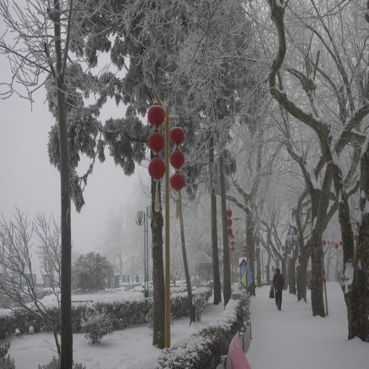 conew_p1050847.jpg