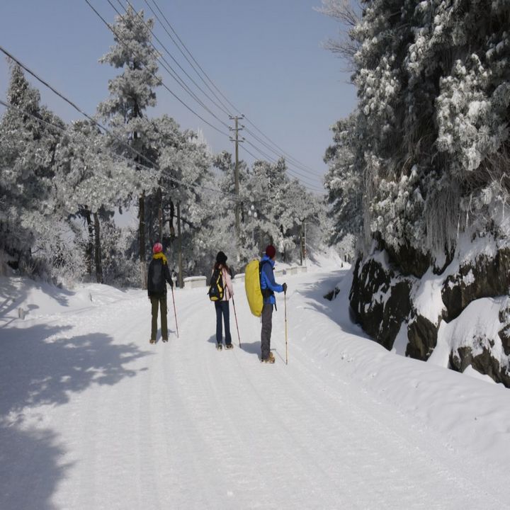 conew_p1050897.jpg