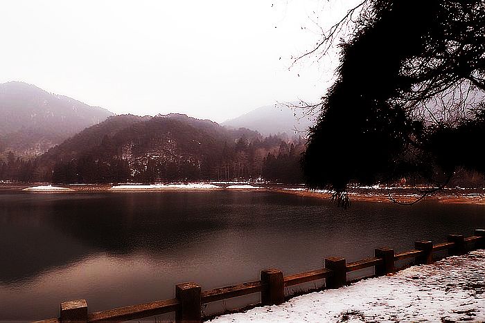 p1020701.jpg