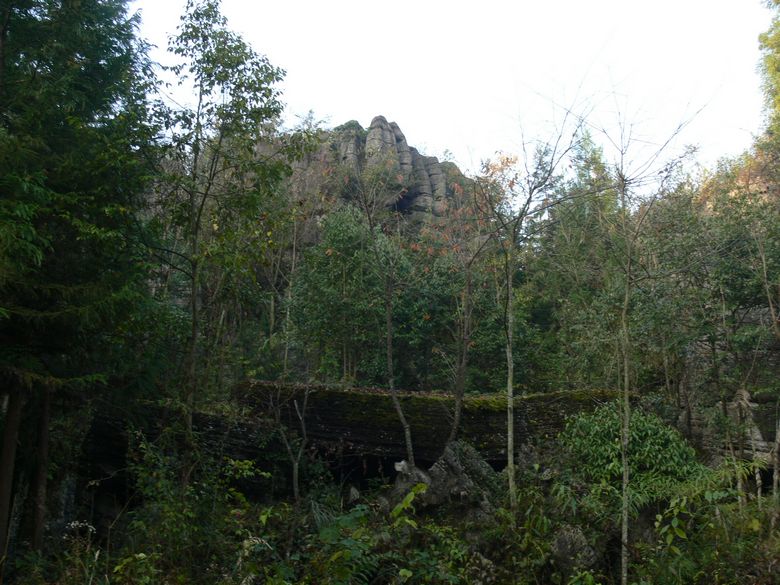 p1130309.jpg
