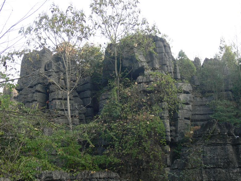 p1130334.jpg