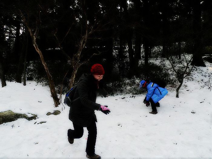 p1020594.jpg