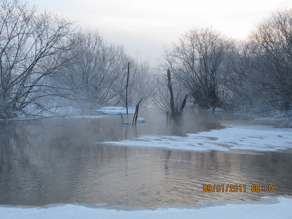 _3651.jpg2.jpg