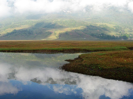 20081006_89e445c69ab45654b21fzga3cida4x4g.jpg